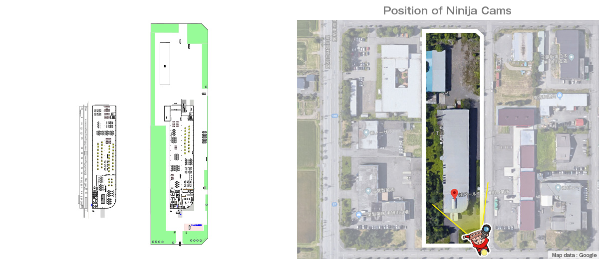 Position of Ninija Cams