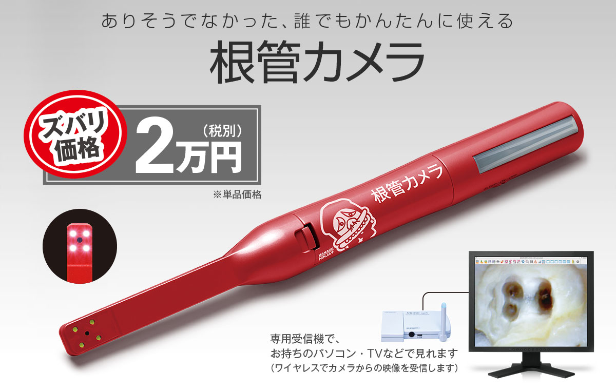 ありそうでなかった、誰でもかんたんに使える根管カメラ