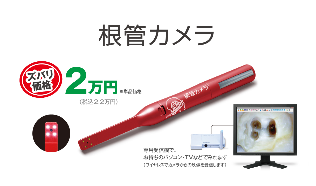 ありそうでなかった、誰でもかんたんに使える根管カメラ