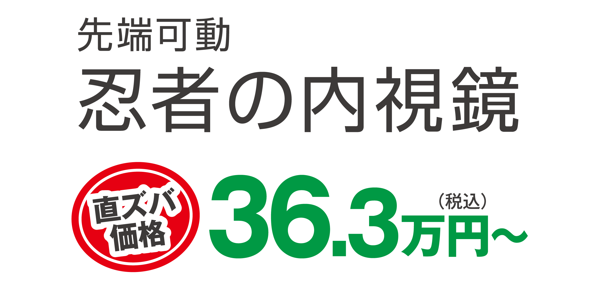 360°先端稼働　工業用内視鏡