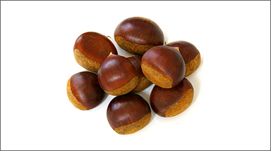 Chestnut 2